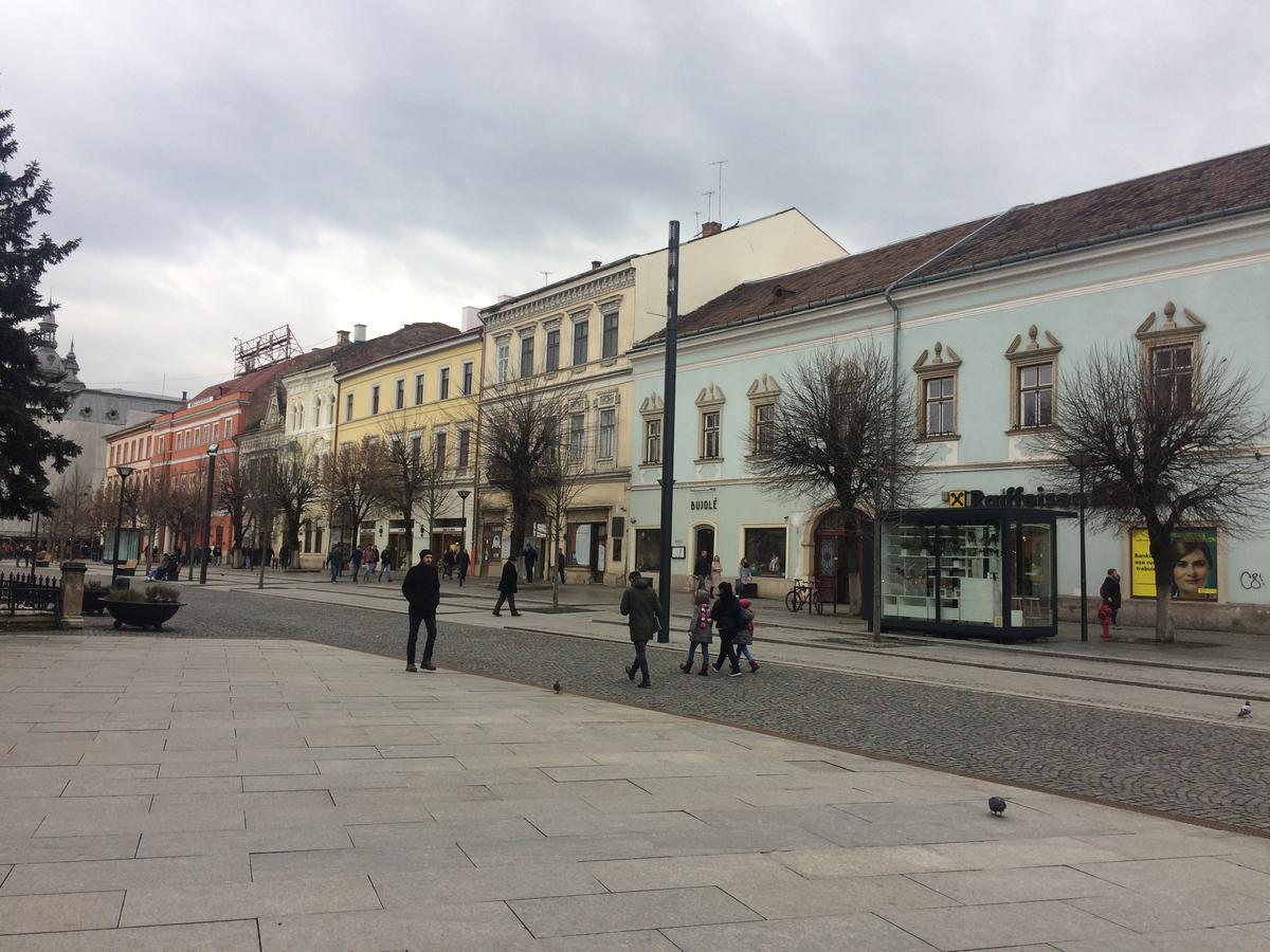 Хостел Casa Roz Клуж-Напока Экстерьер фото